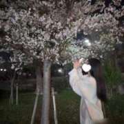 ヒメ日記 2025/04/12 19:28 投稿 あさがお ピンクコレクション尼崎店