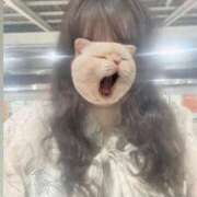 ヒメ日記 2025/04/13 19:27 投稿 ゆず 胡蝶蘭