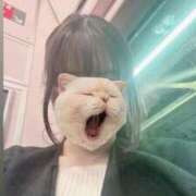 ヒメ日記 2025/04/16 18:02 投稿 ゆず 胡蝶蘭