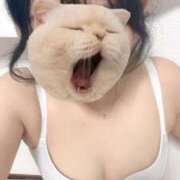 ヒメ日記 2025/06/05 22:56 投稿 ゆず 胡蝶蘭