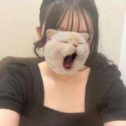 ヒメ日記 2025/08/04 18:32 投稿 ゆず 胡蝶蘭