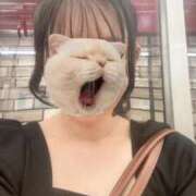 ヒメ日記 2025/08/04 21:53 投稿 ゆず 胡蝶蘭