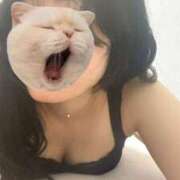 ヒメ日記 2025/08/11 23:06 投稿 ゆず 胡蝶蘭