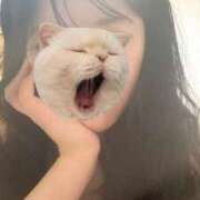 ヒメ日記 2025/08/19 23:31 投稿 ゆず 胡蝶蘭