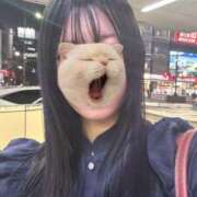 ゆず 向かってます！19:00〜22:00 胡蝶蘭