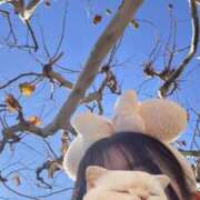 ヒメ日記 2025/12/14 23:24 投稿 ゆず 胡蝶蘭