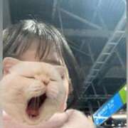 ゆず 向かってます！19:00〜 胡蝶蘭