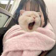 ヒメ日記 2026/01/05 22:14 投稿 ゆず 胡蝶蘭