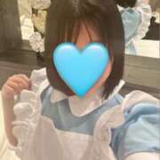 ヒメ日記 2026/02/11 21:15 投稿 ゆず 胡蝶蘭