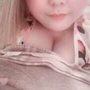 ヒメ日記 2025/04/20 13:19 投稿 みらい 大阪和泉ちゃんこ