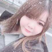 ヒメ日記 2026/02/08 13:49 投稿 みらい 大阪和泉ちゃんこ