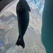 ヒメ日記 2025/05/16 21:40 投稿 そに 手こき＆オナクラ 大阪はまちゃん