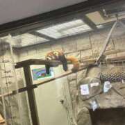 ヒメ日記 2025/06/12 19:50 投稿 そに 手こき＆オナクラ 大阪はまちゃん