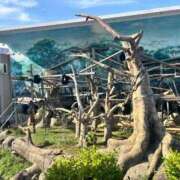 ヒメ日記 2025/10/02 08:10 投稿 そに 手こき＆オナクラ 大阪はまちゃん