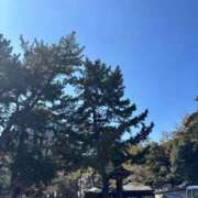 そに 次回出勤予定🌸 手こき＆オナクラ 大阪はまちゃん