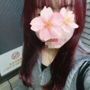 ヒメ日記 2025/04/25 20:42 投稿 みつき sakura