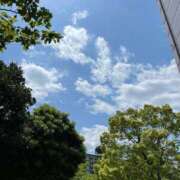 ヒメ日記 2025/05/05 13:11 投稿 みつき sakura