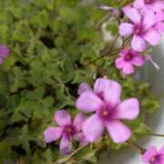 ヒメ日記 2025/05/07 22:12 投稿 ひな DEEP BLACK