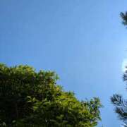 ヒメ日記 2025/05/13 12:24 投稿 ひな DEEP BLACK