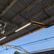 ヒメ日記 2025/08/09 23:44 投稿 ひな DEEP BLACK