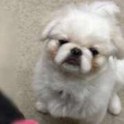 ヒメ日記 2025/05/24 22:35 投稿 かえで 性感エステBianca豊中店