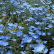 ヒメ日記 2025/05/27 02:06 投稿 かえで 性感エステBianca豊中店