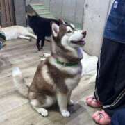 ヒメ日記 2025/10/17 20:32 投稿 かえで 性感エステBianca豊中店