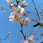 ヒメ日記 2026/03/23 17:12 投稿 さりな 府中ダービー