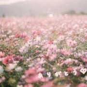 ヒメ日記 2025/08/01 00:09 投稿 あお 熟女の風俗最終章 新潟店