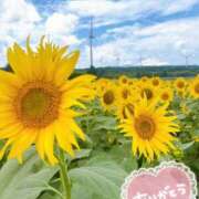 ヒメ日記 2025/08/22 22:19 投稿 あお 熟女の風俗最終章 新潟店