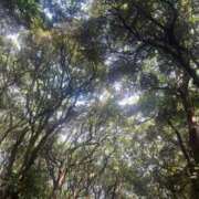 ヒメ日記 2025/08/28 21:19 投稿 あお 熟女の風俗最終章 新潟店