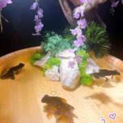 ヒメ日記 2025/09/03 21:39 投稿 あお 熟女の風俗最終章 新潟店