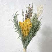 ヒメ日記 2025/04/20 19:34 投稿 成瀬麻友 お姉さんCLUB