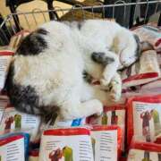 ヒメ日記 2025/04/25 08:19 投稿 成瀬麻友 お姉さんCLUB