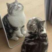 ヒメ日記 2025/05/07 09:27 投稿 成瀬麻友 お姉さんCLUB