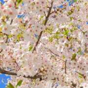 ヒメ日記 2025/05/09 13:03 投稿 成瀬麻友 お姉さんCLUB