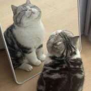 ヒメ日記 2025/05/13 14:18 投稿 成瀬麻友 お姉さんCLUB