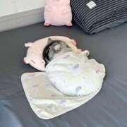 ヒメ日記 2025/05/25 22:33 投稿 成瀬麻友 お姉さんCLUB