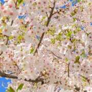 ヒメ日記 2025/05/29 11:48 投稿 成瀬麻友 お姉さんCLUB