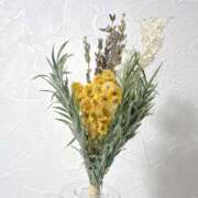 ヒメ日記 2025/06/04 14:27 投稿 成瀬麻友 お姉さんCLUB