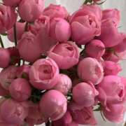 ヒメ日記 2025/06/06 12:27 投稿 成瀬麻友 お姉さんCLUB