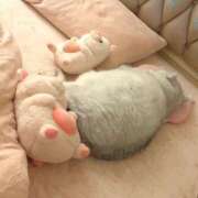 ヒメ日記 2025/06/17 03:18 投稿 成瀬麻友 お姉さんCLUB