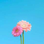 ヒメ日記 2025/06/18 04:18 投稿 成瀬麻友 お姉さんCLUB