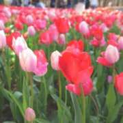 ヒメ日記 2025/06/22 21:58 投稿 成瀬麻友 お姉さんCLUB