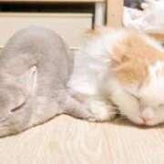 ヒメ日記 2025/06/22 23:13 投稿 成瀬麻友 お姉さんCLUB