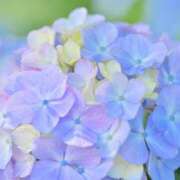 ヒメ日記 2025/06/23 15:33 投稿 成瀬麻友 お姉さんCLUB