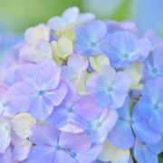 ヒメ日記 2025/07/16 10:57 投稿 成瀬麻友 お姉さんCLUB