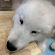 ヒメ日記 2025/08/02 15:15 投稿 成瀬麻友 お姉さんCLUB