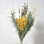 ヒメ日記 2025/09/19 15:48 投稿 成瀬麻友 お姉さんCLUB