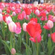 ヒメ日記 2025/09/20 02:03 投稿 成瀬麻友 お姉さんCLUB